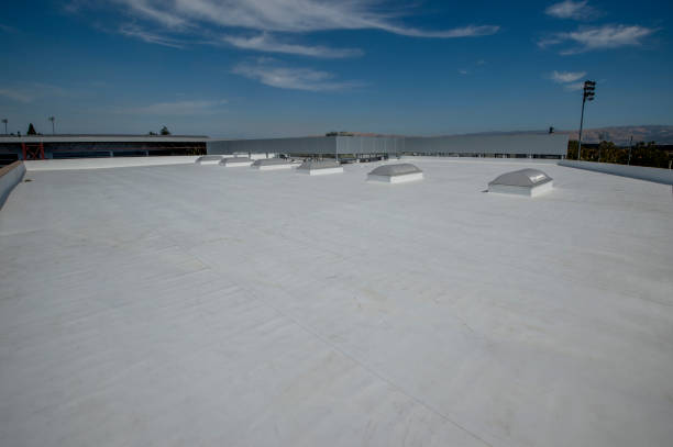 Best Roof Maintenance and Cleaning  in Coldstream, KY